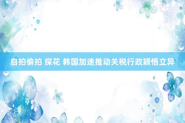 自拍偷拍 探花 韩国加速推动关税行政颖悟立异