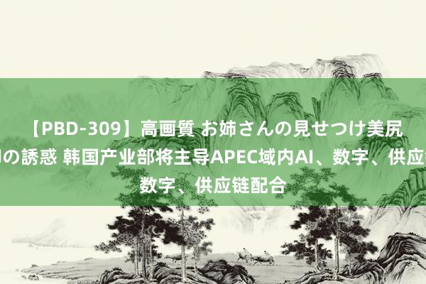 【PBD-309】高画質 お姉さんの見せつけ美尻＆美脚の誘惑 韩国产业部将主导APEC域内AI、数字、供应链配合