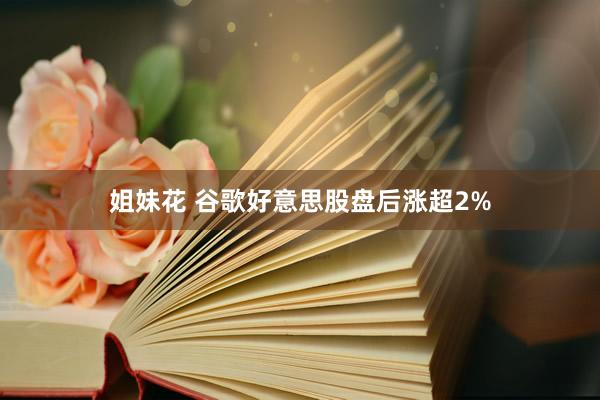 姐妹花 谷歌好意思股盘后涨超2%