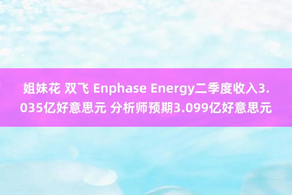 姐妹花 双飞 Enphase Energy二季度收入3.035亿好意思元 分析师预期3.099亿好意思元