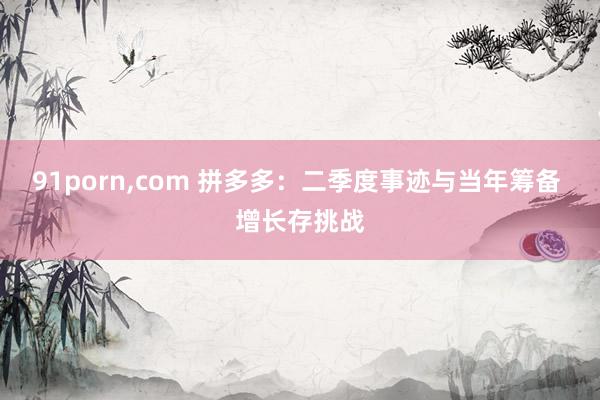 91porn，com 拼多多：二季度事迹与当年筹备 增长存挑战