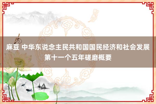 麻豆 中华东说念主民共和国国民经济和社会发展第十一个五年磋磨概要