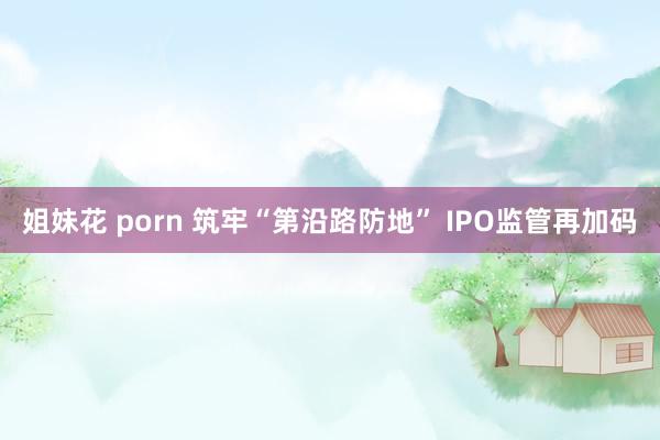姐妹花 porn 筑牢“第沿路防地” IPO监管再加码