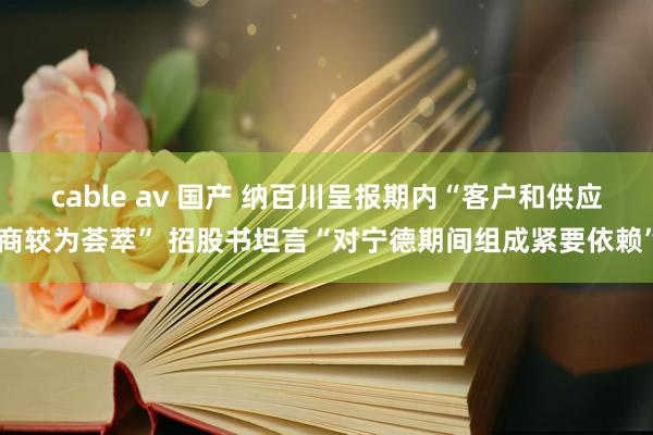cable av 国产 纳百川呈报期内“客户和供应商较为荟萃” 招股书坦言“对宁德期间组成紧要依赖”