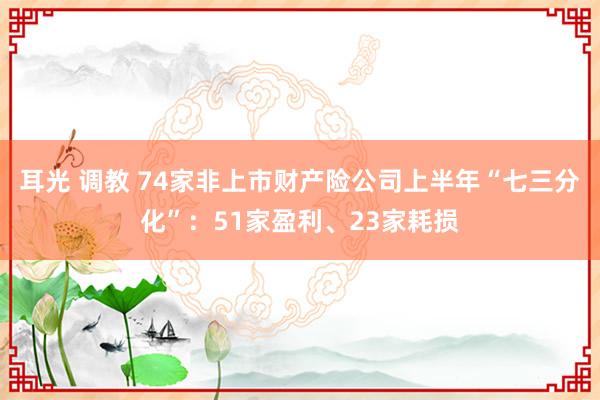 耳光 调教 74家非上市财产险公司上半年“七三分化”：51家盈利、23家耗损