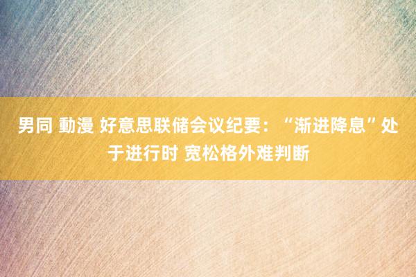 男同 動漫 好意思联储会议纪要：“渐进降息”处于进行时 宽松格外难判断