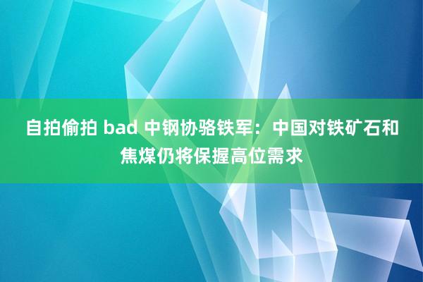 自拍偷拍 bad 中钢协骆铁军：中国对铁矿石和焦煤仍将保握高位需求