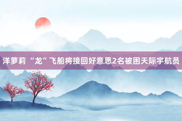 洋萝莉 “龙”飞船将接回好意思2名被困天际宇航员