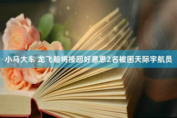 小马大车 龙飞船将接回好意思2名被困天际宇航员
