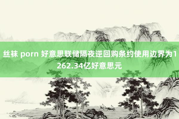 丝袜 porn 好意思联储隔夜逆回购条约使用边界为1262.34亿好意思元