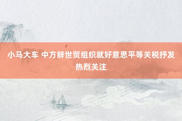 小马大车 中方辞世贸组织就好意思平等关税抒发热烈关注